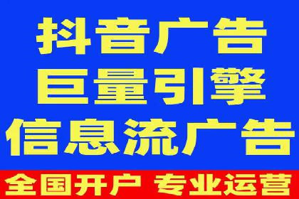 案例对比：SEO与SEM优化效果深度分析